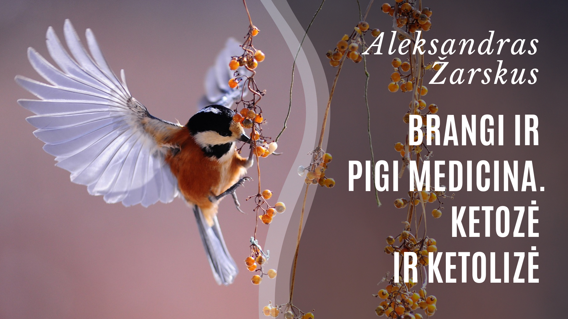 Brangi ir pigi medicina. Ketozė ir ketolizė - Aleksandras Žarskus 3